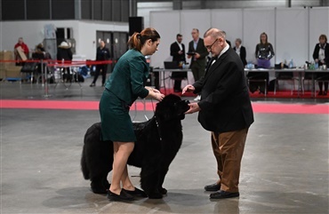 Wiegaarden er klar i Fredericia