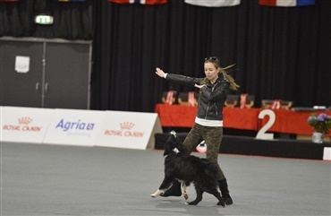 EDS: Imponerende Dog Dancing i den runde hal