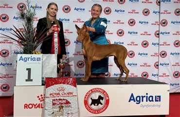 Frederikke l&oslash;b med sejren i l&oslash;rdagens juniorhandling