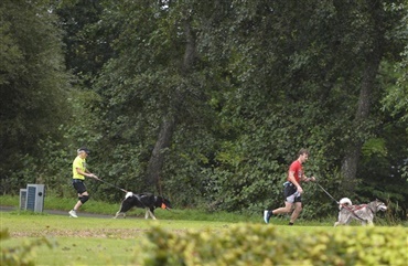 V&aring;d men tjekket start p&aring; Hund i Fokus