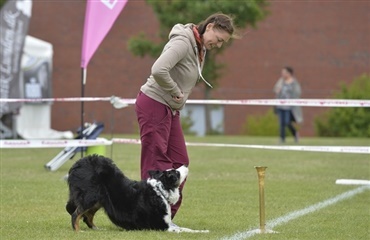 Dansk VM-guld i Dog Dancing