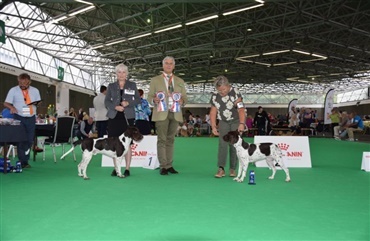 Blandede oplevelser ved World Dog Show 2018