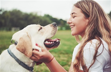 Hunde elsker dit babysprog