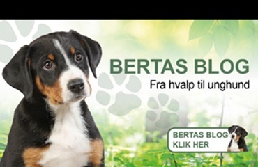 Afsked med Bertas Blog