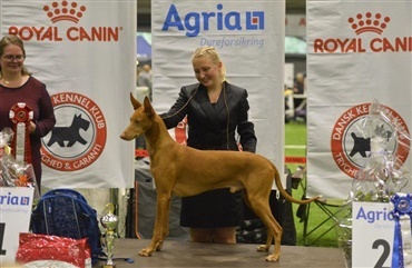 Frederikke vandt dagens juniorhandling