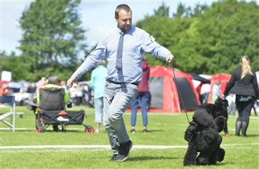 Disse racer kan du opleve s&oslash;ndag