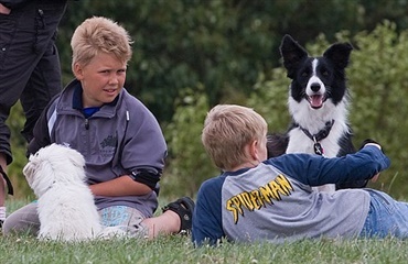 Hundeferie på Helnæs 