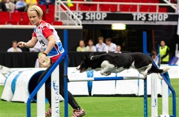 Agility: Flotte pr&aelig;stationer - ingen medaljer