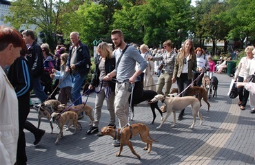 Mød 100 hunderacer til Hundens Dag i Tivoli