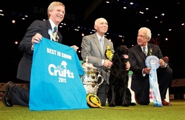 Se klip fra Crufts