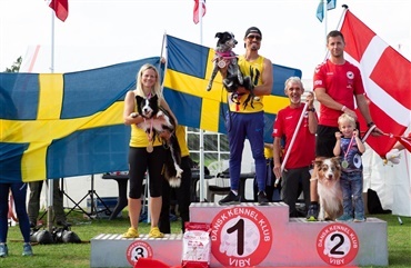 To s&oslash;lvmedaljer til Danmark i agility