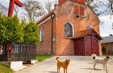 Må man ta' hunden med sig ind i kirken?