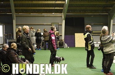 Galleri: Paradis Hundetr&aelig;ningscenter