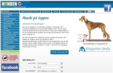 Velkommen til HUNDE PÅ TOPPEN