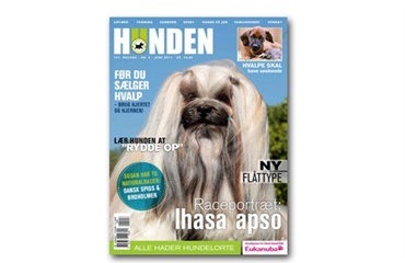 Hunden i løssalg