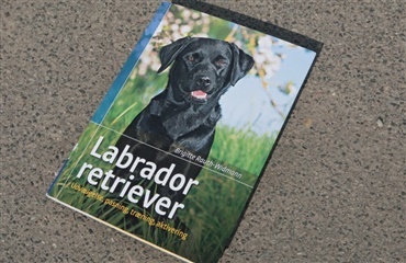 Ny bog om labrador