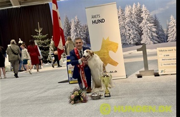 Winter Wonder Show satte punktum for et fantastisk udstillings&aring;r