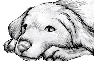 Ejer, kæreste ven – et rørende farvel fra din hund