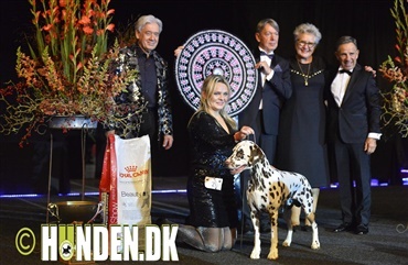 Svensk sejr i Ulfs sidste Show Of Winners