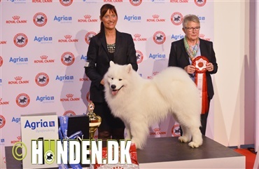 Best In Show fredag blev dansk