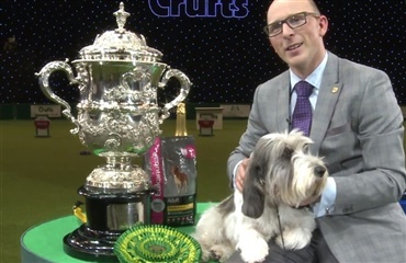 Petit basset griffon vendeen vandt Crufts