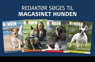 Redakt&oslash;r s&oslash;ges til magasinet HUNDEN