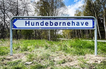 Vi Passer Hund vokser – nu leder hundeb&oslash;rnehaven efter nye rammer