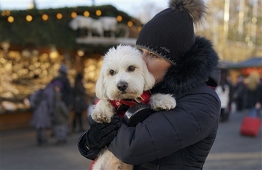 Vil du være et bedre menneske? Få dig en hund