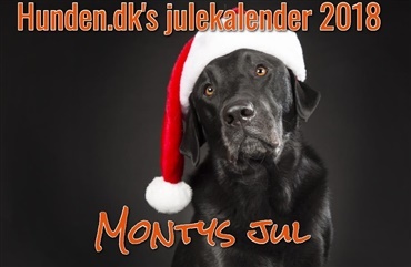 Julekalender: Montys jul - afsnit 6