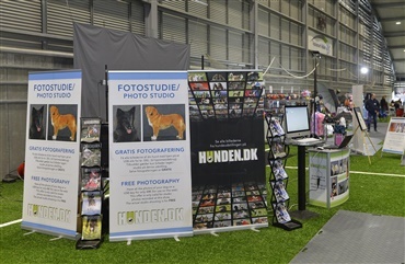 Herning og hunden, HUNDEN og Herning