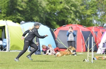 S&aring; er der billeder fra agility og Crazy Dog Days