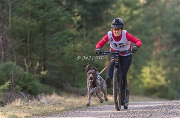 Dansk Tr&aelig;khundeklub – en klub for alle!
