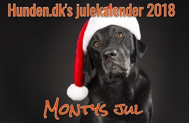 Julekalender: Montys jul - Afsnit 20