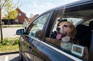 Pas p&aring;: For&aring;rssolen g&oslash;r bilen varm