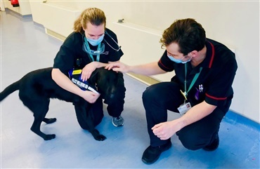 D&aring;rlig narkohund f&aring;r fantastisk nyt job