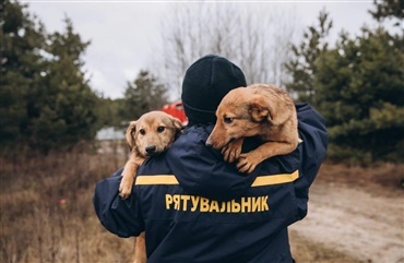 Ukraine: Hundefoder til to dage