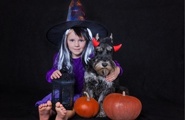 Se billederne: Halloweenkostumer til hunde
