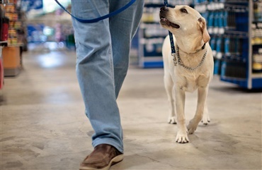 HedeDanmarks hundehold skal holde Coop fri for skadedyr