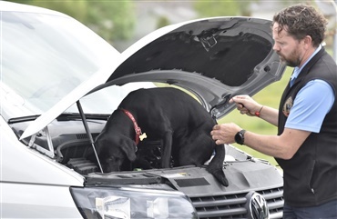 Narkohund: Tingene g&aring;r ikke altid som &oslash;nsket