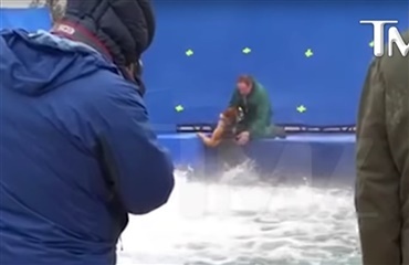 Amerikansk hundefilm havnet i stormvejr