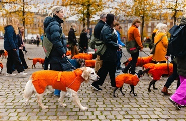 Siccaro farvede byen Orange