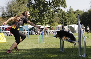 Gl&aelig;d dig: HUNDEN udkommer i n&aelig;ste uge