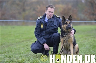 Theo fandt forsvunden plejehjemsbeboer og blev &Aring;rets Politihund 2017 