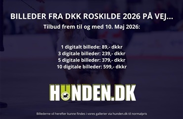 NYHED: Stort tilbud p&aring; billeder fra Roskilde