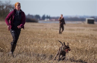 BLOG: Tr&aelig;ning, tr&aelig;ning, tr&aelig;ning og seje farfar