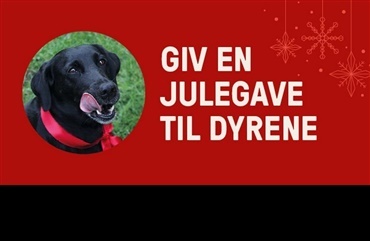 Giv en julegave til dyrene