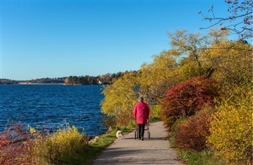 Grenaa: Hund d&oslash;d efter overfald