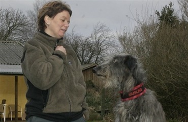 Hvor ofte træner du med din hund?