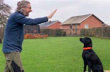 BLOG: T&aelig;nk dig om f&oslash;r du siger nej til din hund