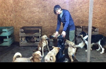 Animal Rescue Kharkiv i store problemer
